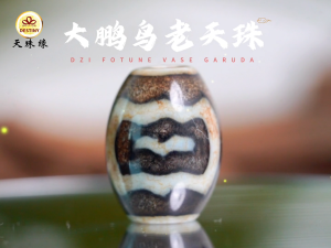 DZI DESTINY GARUDA DZI TIBETAN ANTIQUE DZI 天珠缘 大鹏鸟 西藏百年老天珠 除病之珠 护法 消灾解难 HEALTH PROTECTION