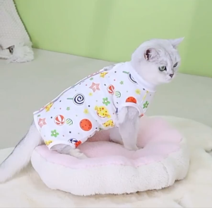 Cat Recovery Clothes: Comfortable & Cartoon-Designed Surgical Gowns