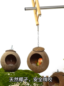 บ้านนก แบบขัดเรียบ สำหรับสัตว์เลี้ยง กระรอก หนูแฮมสเตอร์ นกแก้ว บ้านชูการ์ สัตว์เลี้ยง สัตว์เล็ก ธรรมชาติ บ้านนนกแบบหญ้า