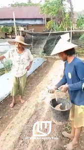 Tobros Sarijadi Dolomit Pertanian Cair 1 Liter Plus Asam Humik & Probiotik Trichoderma Tanah Jadi Subur Untuk Tanaman