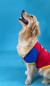 เสื้อสัตว์เลี้ยง เสื้อยืดรับเหรียญ Winner T-Shirt  ชุดหมาแมว | CLAWSET.BKK