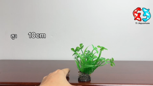 ต้นไม้ปลอมไว้สำหรับตกแต่งตู้ปลา  รหัสสินค้าT01