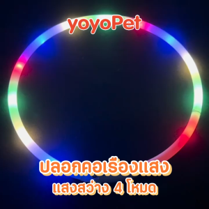 coolpet 🐶 ปลอกคอเรืองแสงสัตว์เลี้ยง ปลอกคอนิรภัย สะท้อนแสง ที่คล้องคอแมว สายปรับได้ ยาว 70 cm.