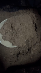 (ส่งฟรี)พีทมอส (บรรจุ 5 ลิตร) สำหรับปลูกพืชทั่วไป ดินเพาะต้นไม้พีทมอสเพาะต้นกล้า