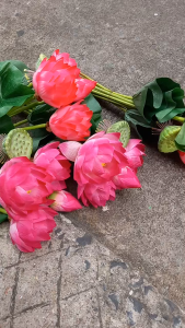 1 Cây sen giả hàng nhập khẩu cao cấp size trung 50cm - Hoa giả - TUYET XUAN SHOP