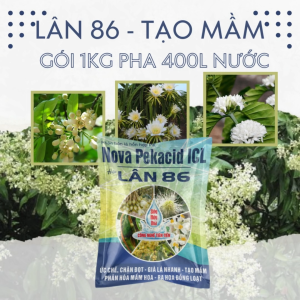 Lân 86 Xử Lý Ra Hoa Nghịch Mùa Vụ Tạo Mầm Hoa Cực Mạnh Kích Ra Bông Xoài Cà Phê Sầu Riêng Bơ