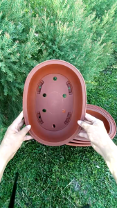 กระถางบอนไซ กระถางแคคตัส พลาสติก หนา กระถางบอนไซทรงไข่ กระถางทางยาว ญี่ปุ่น 4 ขนาด มินิ/เล็ก/กลาง/ใหญ่ สีอิฐ/สีน้ำตาลเข็ม หนาสวยงาม