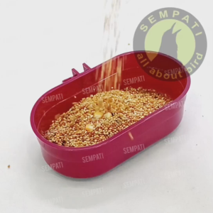 SEMPATI Cepuk Tempat Makan Minum Oval Plastik By Sempati TM K2O TM K2 Oval TM Wadah Pakan Burung Merpati Perkutut Derkuku Tekukur Dara Ayam Bebek Unggas