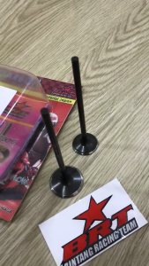 KLEP 29 24 BATANG 45MM KLEP BRT 29 24 BATANG 45MM AB