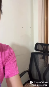 Vòng cổ cho Chó Mèo nhỏ Teddy (mẫu mới) - Love Pets Shop