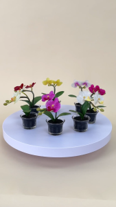 ปลอมเสริมไม้ด้วยความสะอาดและชุ่มชื่น แจกันดอกไม้ปลอมขนาดเล็ก กล้วยไม้ปลอมจิ๋วพร้อมแจกัน