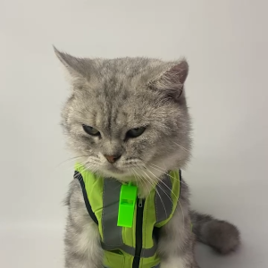 Baju kucing anjing monyet kelinci cowok cewek lucu murah gratis ongkir - Bukipet Rompi Parkir