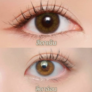 PEGAVISION คอนแทคเลนส์สี รายเดือน รุ่น KAORI สี Peony Brown (2 เลนส์/กล่อง)