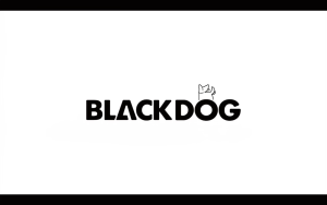 BLACKDOG Hexagon Tarp with Silver Coating