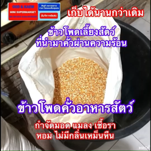 ข้าวโพดเมล็ด ข้าวโพดคั่วเลี้ยงสัตว์ ผ่านการคั่วให้ร้อน สะอาด ปลอดภัย ไม่มีกลิ่นหืน และเพื่อฆ่าเชื้อรา กำจัดมอด แมลง เก็บรักษาได้นานขึ้น