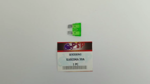 Sekering Karisma 30A (Warna Hijau) - Fuse DX Micro Fuse Mikro Sekring Tusuk Tancap Kotak Besar 30A