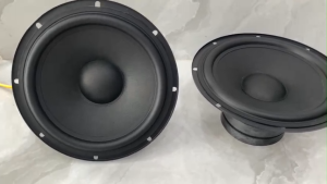 1 CỦ LOA BASS 20 TỪ KÉP 100-100 COIL 25 GÂN CAO SU BASS CỰC CĂNG