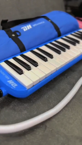 Pianika Anak Alat Musik  Pianika Hardcover Alat Musik Tiup Melodika Hardcase
