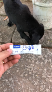 VIRBAC MEGADERM - Gel ăn mượt lông ra lông nhanh giảm rụng lông hồi phục da bị tổn thương cho Chó Mèo