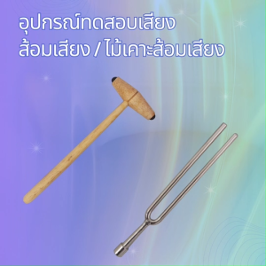 อุปกรณ์ทดสอบเสียง อุปกรณ์วิทยาศาสตร์ ส้อมเสียง / ไม้เคาะส้อมเสียง