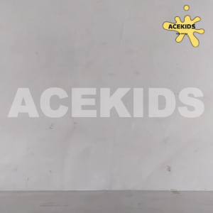 Mobil Remote Control Mobil RC Stunt Mini Climbing