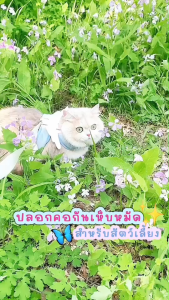 ปลอกคอช่วยกำจัดเห็บหมัด สุนัข แมว ปลอดภัยไร้สาระพิษ ช่วยไล่แมลง ไล่เห็บหมัดจากตัวสุนัข ปรับสายได้