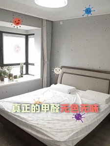 ready stock Strong Formaldehyde Remover gel for New Homes Newly Renovated Rooms New Cars Effective at Eliminating Odors