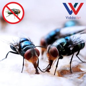 KwikKill fly trap 200grams