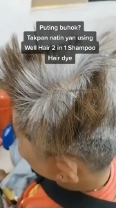 Transform Your White Hair to Black with WELL HAIR Color Shampoo