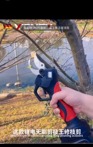 JLD 48V Gunting Dahan Listrik & Gunting Taman Elektrik: Scissors Pemangkas Dahan