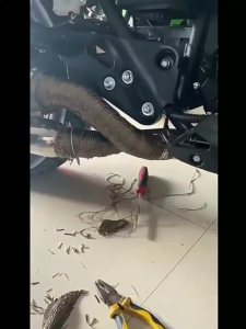 Bọc ống xả xe máy Vải cuốn bô xe máy Bọc ống xả xe máy cách nhiệt Bọc ống xả xe máy chống bỏng