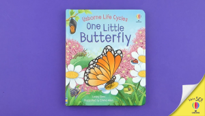 Usborne- Life Cycle Series