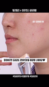 [พร้อมส่ง/ของแท้] Fillimilli S - 827 Smooth Skin Filter Foundation Brush