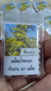 50 เมล็ด ถั่วมะแฮะ มะแฮะ มะแฮ เมล็ดมะแฮะ เมล็ดมะแฮ เมล็ดถั่วแระต้น ถั่วแระต้น