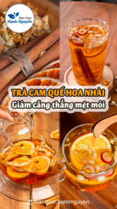 30 set trà cam quế hoa nhài táo đỏ trà thảo mộc cam quế tảo đỏ - Thảo Dược Hạnh Nguyên