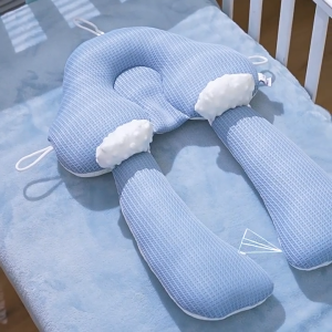 Newborn Baby Shaping Pillow: A Comprehensive Guide