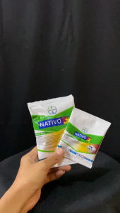 NATIVO 75WG - FUNGISIDA 50GR - mengendalikan Penyakit Antraknosa (Patek)