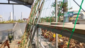Garden durable nylon trellis net support for climbing vine plants