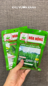 Hạt giống rau Muống lá lớn Rau muống lá tre - Gói 50gr 100gr - Tỉ lệ nảy mầm >90% - Trồng quanh năm