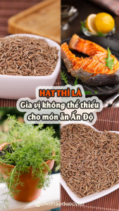 Cumin - Hạt thì là Ai Cập 500g ( Hạt thì là đen khô thơm làm gia vị tẩm ướp ) - Chợ Thảo Dược Việt