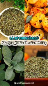 Lá xô thơm trắng 500g sage gia vị nấu ăn khử mùi thanh tẩy thanh lọc không khí xông nhà
