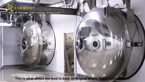 LIONEST PETS Chicken Cube (Power Pack 100g) | Freeze-Dried | Protein Booster | Cat Dog Treat | Makanan Kucing