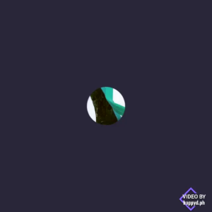 Rainbowtown NanYang Thailand Two Dove Summer Beach Walker Flip Flops Slipper For Adult (9-11) Footwear