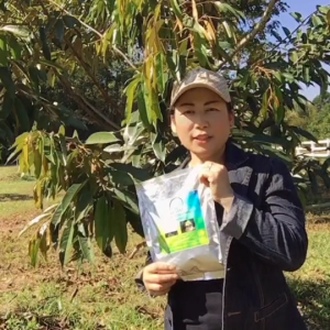 ไม้สด 1 กิโลกรัม บำรุงดิน บำรุงราก บำรุงใบ บำรุงต้น ใบใหญ่ ใบหนา สีเข้มให้พืชสมบูรณ์ เติมธาตุอาหารให้พืช