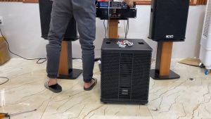 Loa Sub Điện Bass 30 Sansui 350W Công Nghệ Nhật - Tặng Dây AV Sub 30 Siêu Trầm Cao Cấp - H2Pro Audio
