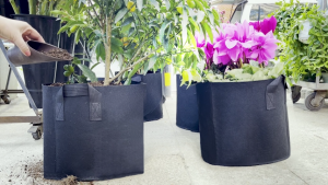 Gallon Big Plant Flower Grow Bags Pot Home Garden Potato Strawberry Fabric Vegetable Jardin Gardening Growing Pots