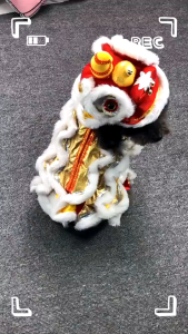 【Versatile】 Pet Pantry Pet Dog Costume Dragon Dance Clothing Puppy Festive Cosplay Costume For Chinese New Year petcity