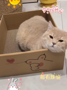 Cat WOWO Cat Bed Grinding and Rest Oversized Cat Nest Cat Maternity Bed Corrugated Paper Cat Box Four Seasons Universal