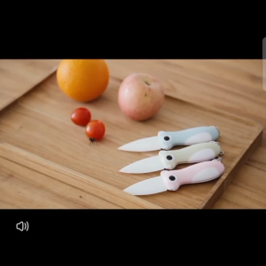 Ceramic Pocket Knife Folding Paring Knife Super Sharp Ceramic Blade only 2.3 inch Fruit Peeling Vegetable Cutting Easy-to-Carry