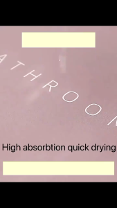 Keset Diatomite Alas Kaki Lantai Anti Slip Kamar Tidur Kamar Mandi PREMIUM